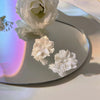 White Flower Stud Earrings for Women Flower Earring Modern Korean Cute Teens Girl Party Jewelry Accessories - Image 3
