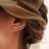 Kyounuo Gold Silver Filled Ear Climber Earrings For Women Zircon Piercing Women's Ear Crawler Stud Earrings Jewelry - Image 1