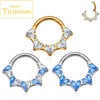 Titanium CZ Heart Daith Helix Tragus Earrings Hoop 16G Hinged Septum Clicker Nose Ring Piercing Jewelry - Image 1