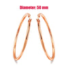Big Hoop Earrings For Women Minimalist Circle Classic Cartilage Earring Rose Gold Color Hoops Jewelry - Image 11