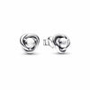 European Silver Zodiac Earrings Blue, Red, Pink, and White Earrings Suitable for Women's Jewelry - Image 14