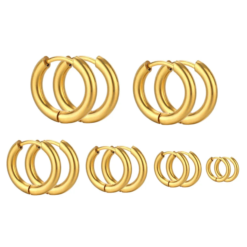 Stainless Steel Hoop Earrings Set 10 Pieces 8mm to 20mm - Image 1