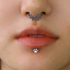 Nose Daith Tragus Ear Piercing Beads Segment Hinged Nose Clickers 8mm/10mm 16G Cartilage Nose Ring Body Jewelry Anodizing - Image 6