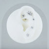 Titanium 16G Marquise Lotus CZ Flower Flat Back Stud Labret Tragus Helix Cartilage Conch Earring Piercing - Image 23