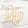 Stainless Steel Big Circle Hoop Earrings for Women,Gold Plated 25mm-70mm Loop Jewelry - Image 1