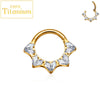Titanium CZ Heart Daith Helix Tragus Earrings Hoop 16G Hinged Septum Clicker Nose Ring Piercing Jewelry - Image 12