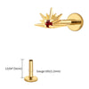 Titanium CZ Starburst Stud Earring 16G Sunrise Helix Stud Tragus Cartilage Labret Monroe Piercing Jewelry - Image 22