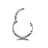 1Pc Titanium Nose Hoop Daith Earring Conch Helix Septum Piercing Clicker Segment Helix Rook Ear Piercings Women Body Jewelry 16G - Image 10