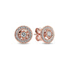 Silver Snowflake,Ginkgo,and Star Moon Elephant Earrings Are Jewelry Gifts Suitable For European Women - Image 9