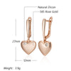 Heart Drop Earrings for Women Zircon With Rose Gold Color Modern Party Wedding Daily Jewelry - Image 2