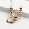 selling scorpion brooches pins coat accessories - Image 9