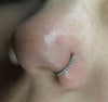Titanium Nose Ring Piercing 8/10/12mm Nose Ring D Shape Segment Clicke Cartilage Tragus Helix Industrial Piercing Body - Image 22