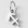 10PCS Stainless Steel Star Zodiac Sign 12 Constellation Pendant Accessories for Necklace Women Man Jewelry Gifts - Image 10