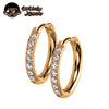 Two Piece Titanium Hinged Hoop Earrings with Clear Stone Detail - Image 10