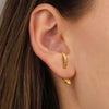 Animal Shaped Ear Studs Gothic Snake Earrings Vintage Punk Hook Earring Personality Women Jewelry Accessories - Image 4