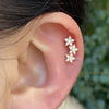 1PC Curved Cz Cartilage Stud Moon Leaf Helix Rook Conch Screw Back Earring Stainless Steel Ear Piercing Jewelry - Image 1