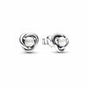 European Silver Zodiac Earrings Blue, Red, Pink, and White Earrings Suitable for Women's Jewelry - Image 4