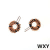 5Pcs Toroid Core Inductors 65125 Winding Magnetic Inductance 10/22/33/47/56/68/100uh220uH Iron Gauge Aluminum Magnetic Ring Coil - Image 4