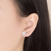 silver needle Earrings Jewelry Double Row Crystal Zircon Round Stud - Image 3