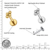 Titanium 16G Mini 4 Bead Cluster Labret Lip Ring Tragus Cartilage Helix Conch Earring Stud Nose Piercing - Image 2