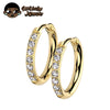 Two Piece Titanium Hinged Hoop Earrings with Clear Stone Detail - Image 11
