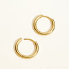 1 Pair Titanium Classic Hinged Huggie Hoops Minimalist 18G Platinum Plated Lightweight Earlobe Earrings - Image 5