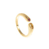 Month Birthstone Style Ring with Zircon Accents in Gold Tone or Silver Tone - Image 15