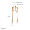 Rose Gold Color Long Dangle Earrings For Women Daily Jewelry Bride Wedding Zircon Earrings Gift - Image 2