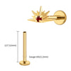 Titanium CZ Starburst Stud Earring 16G Sunrise Helix Stud Tragus Cartilage Labret Monroe Piercing Jewelry - Image 21