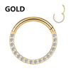 Hinged Stainless Steel Segment Piercing Ring with Stone Detail in 6 mm to 14 mm Sizes - Image 11