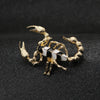Gold Silver Plated Enamel Scorpion Brooch Personality Temperament Corsage Lapel Pin Male Clothing Accessories Gifts - Image 8