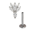 Titanium Pierc Ear Studs Marquise and Round CZ Alternate Cluster Threaded Ear Cartilage Earrings Piercing Jewelry - Image 15