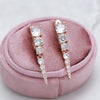Full Claw Inlay Zircon Decreasing Design Drop English Earrings Rose Gold Plated Party Jewelry Women Classic Wedding Accessories - Image 6