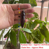 Natural Wooden Pendulum for Divination Dowsing Karnak Egyptian Wood Pendant Pendulums Chakra Chain Spiritual Pendulos - Image 12