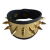 Suicide Cosplay Squad Quinn Monster Bracelet Belt necklace Gloves Accessories Full Set Wig Harley - Image 12