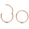 8mm Titanium Double Helix Nose Rings Hinged Segment Ring Ear CartilageTragus Helix Lip Piercing Nose Hoop Studs Punk Jewelry 1PC - Image 13