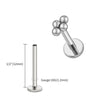 Titanium 16G Mini 4 Bead Cluster Labret Lip Ring Tragus Cartilage Helix Conch Earring Stud Nose Piercing - Image 14
