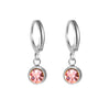 12 Month Birthstone Earrings Stainless Steel Gold Color Crystal Drop Earring for Women Jewelry Birthday Gifts - Image 21