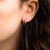 Stainless Steel Thin Hoop Earrings in Gold-Tone or Silver-Tone with 12 mm 14 mm or 18 mm Options - Image 27