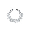 1/5PCS Titanium 16G CZ Hinged Clicker Segment Hoop Ring 8mm CZ Daith Earring Cartilage Conch Tragus Septum Nose Piercing Jewelry - Image 8