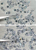 Cubic Zirconia Pendant Necklace Women Invisible Transparent Fishing Line Choker Oval Heart Star Geometric Necklaces - Image 6
