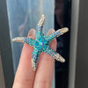 Rhinestone Cute Multi-Color Starfish Brooches For Women Men Clothing Accessories Exquiste Star Brooch Pins - Image 7