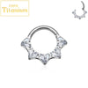 Titanium CZ Heart Daith Helix Tragus Earrings Hoop 16G Hinged Septum Clicker Nose Ring Piercing Jewelry - Image 7