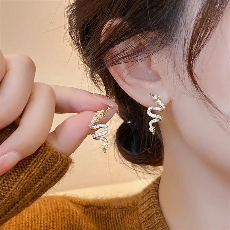 Vintage Chinese Style Dragon Stud Earrings for Women Trendy Punk Personality Animal Totem Earrings Statement Jewelry Gift