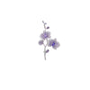 Orchid Brooch Pin for Women, Silver-Tone Zinc Alloy Floral Design with Purple Sparkling Accents - Product view 5