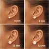 18K Gold Plated 925 Sterling Silver Shell Pearl Stud Earrings - view 6