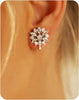 Clip on Earrings for Women Cubic Zirconia Long Tassel Dangle Drop Earrings Non Pierced Earrings for Women Jewelry Gifts Wedding Party - Flower