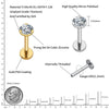 Flat Back Labret Stud with 2.5 mm to 4 mm CZ Detail in 16G