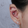 BC500:3256806235962609:gallery-10.png
