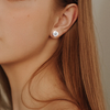 BC500:3256807973811730:gallery-11.png